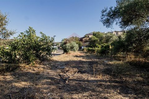 Helårsgrund i Castro Marim, Faro, Castro Marim - € 18.000 | Ref: 216240220 - foto 3