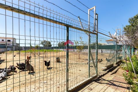 Villa i Olhao, Faro, Olhao - € 550.000 | Ref: 273250005 - foto 22