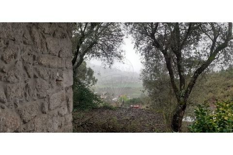 Villa i Ponte de Lima, Viana do Castelo, Ponte de Lima - € 140.000 | Ref: 120781532-17 - foto 7