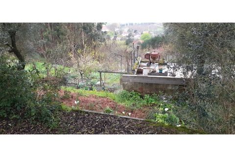 Villa i Ponte de Lima, Viana do Castelo, Ponte de Lima - € 140.000 | Ref: 120781532-17 - foto 8