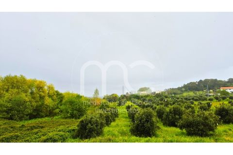 Villa i Ourem, Santarem, Ourem - € 340.000 | Ref: 25N00173 - foto 10