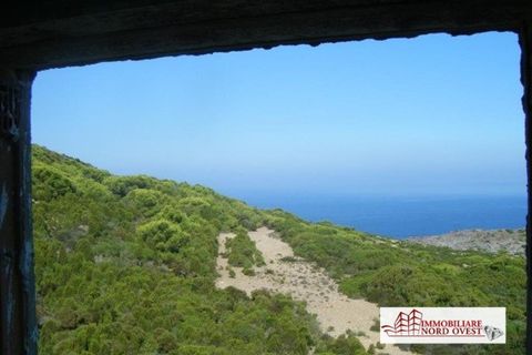 Landejendom i Carloforte, Sud Sardegna, Carloforte - € 245.000 | Ref: villa Carloforte - foto 11