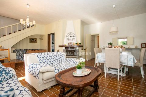Villa a Tarquinia, Viterbo, Tarquinia - € 275.000 | Ref: CBI018-703-43769 - foto 4