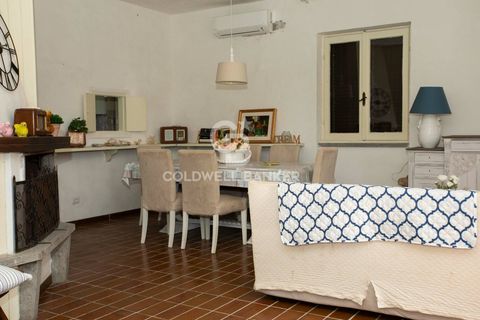 Villa a Tarquinia, Viterbo, Tarquinia - € 275.000 | Ref: CBI018-703-43769 - foto 6