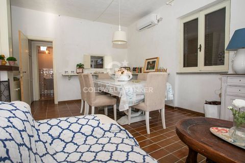 Villa a Tarquinia, Viterbo, Tarquinia - € 275.000 | Ref: CBI018-703-43769 - foto 10