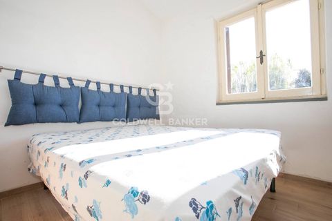Villa a Tarquinia, Viterbo, Tarquinia - € 275.000 | Ref: CBI018-703-43769 - foto 32