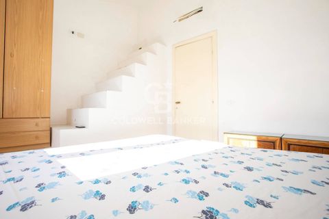Villa a Tarquinia, Viterbo, Tarquinia - € 275.000 | Ref: CBI018-703-43769 - foto 33