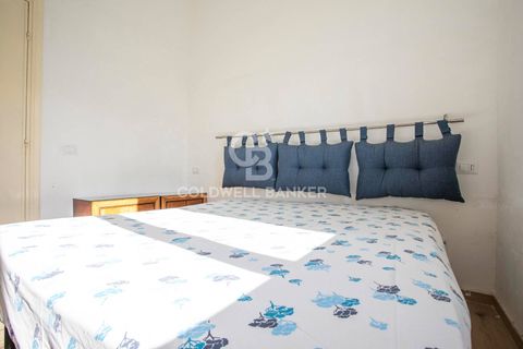 Villa a Tarquinia, Viterbo, Tarquinia - € 275.000 | Ref: CBI018-703-43769 - foto 34