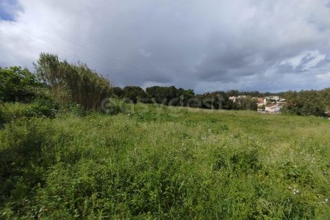 Tomt i Monte Real, Leiria, Monte Real - € 320 000 | Ref: RR97148 - foto 4