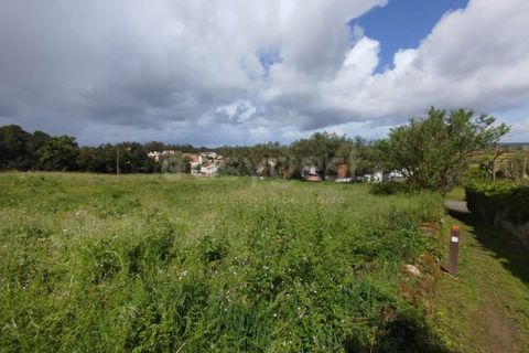 Tomt i Monte Real, Leiria, Monte Real - € 320 000 | Ref: RR97148 - foto 5