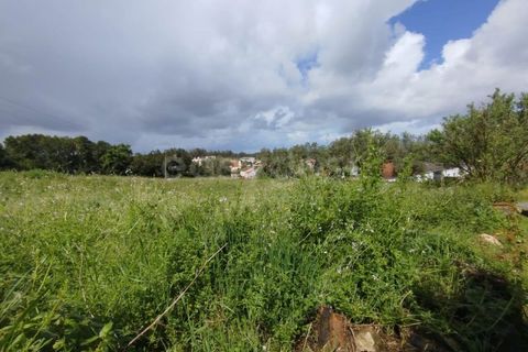 Tomt i Monte Real, Leiria, Monte Real - € 320 000 | Ref: RR97148 - foto 7