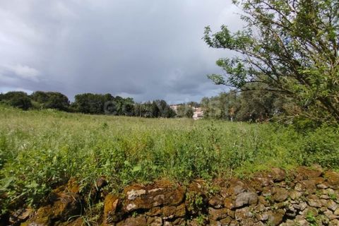Tomt i Monte Real, Leiria, Monte Real - € 320 000 | Ref: RR97148 - foto 9