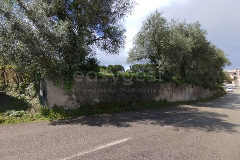 Tomt i Monte Real, Leiria, Monte Real - € 320 000 | Ref: RR97148 - foto 10