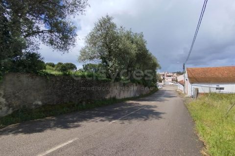 Tomt i Monte Real, Leiria, Monte Real - € 320 000 | Ref: RR97148 - foto 11