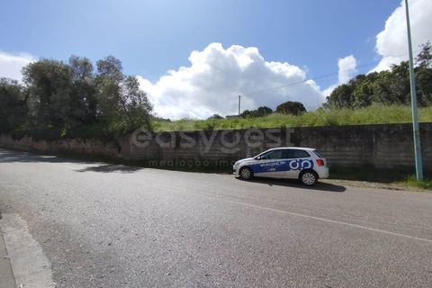 Tomt i Monte Real, Leiria, Monte Real - € 320 000 | Ref: RR97148 - foto 12