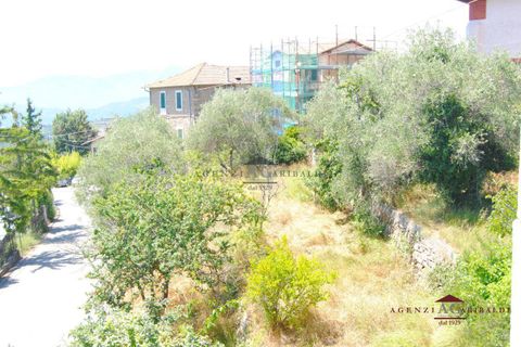 Herregård i Seborga, Imperia, Seborga - € 290 000 | Ref: v5089 - foto 8