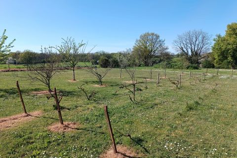 Villa a Montmorillon, Vienne, Montmorillon - € 194.500 | Ref: BVI80440 - foto 2