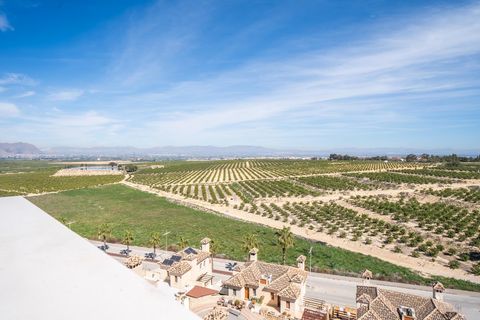 Villa i Algorfa, Alicante, Algorfa - € 535.000 | Ref: 20147/12462 - foto 18