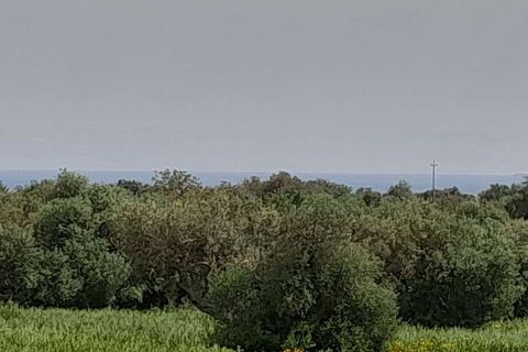 Landejendom i Scicli, Ragusa, Scicli - € 115.000 | Ref: RP-485326-485326 - foto 9