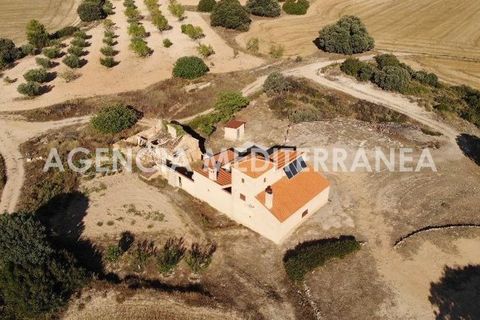 Landejendom i Almansa, Albacete, Almansa - € 560.000 | Ref: 4453/5940 - foto 2