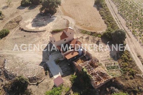Landejendom i Almansa, Albacete, Almansa - € 560.000 | Ref: 4453/5940 - foto 4