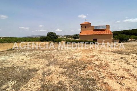 Landejendom i Almansa, Albacete, Almansa - € 560.000 | Ref: 4453/5940 - foto 34