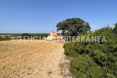 Landejendom i Almansa, Albacete, Almansa - € 560.000 | Ref: 4453/5940 - foto 35