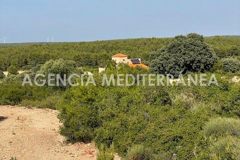 Landejendom i Almansa, Albacete, Almansa - € 560.000 | Ref: 4453/5940 - foto 36
