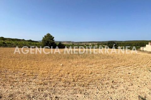 Landejendom i Almansa, Albacete, Almansa - € 560.000 | Ref: 4453/5940 - foto 37