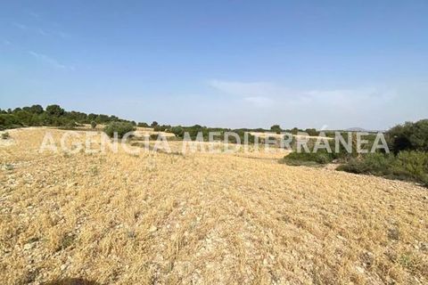 Landejendom i Almansa, Albacete, Almansa - € 560.000 | Ref: 4453/5940 - foto 39