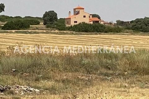 Landejendom i Almansa, Albacete, Almansa - € 560.000 | Ref: 4453/5940 - foto 40