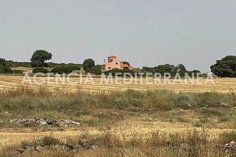 Landejendom i Almansa, Albacete, Almansa - € 560.000 | Ref: 4453/5940 - foto 41