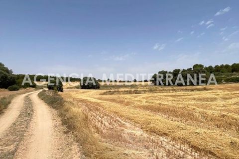Landejendom i Almansa, Albacete, Almansa - € 560.000 | Ref: 4453/5940 - foto 42