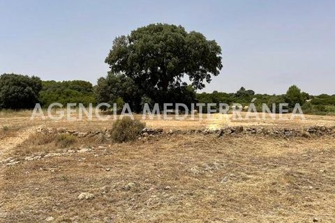 Landejendom i Almansa, Albacete, Almansa - € 560.000 | Ref: 4453/5940 - foto 43
