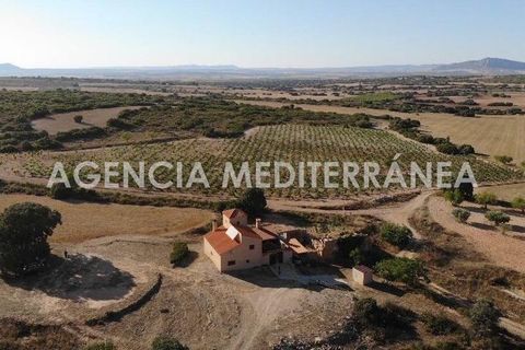 Landejendom i Almansa, Albacete, Almansa - € 560.000 | Ref: 4453/5940 - foto 44