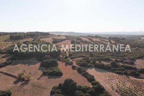 Landejendom i Almansa, Albacete, Almansa - € 560.000 | Ref: 4453/5940 - foto 45