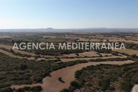 Landejendom i Almansa, Albacete, Almansa - € 560.000 | Ref: 4453/5940 - foto 46