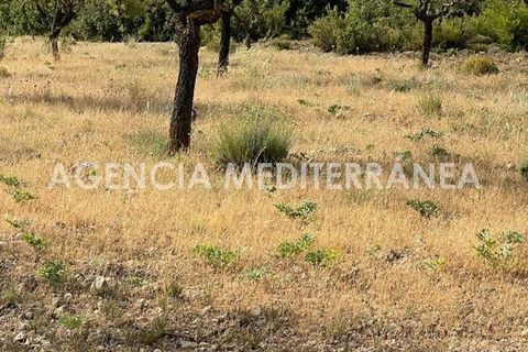 Landejendom i Almansa, Albacete, Almansa - € 560.000 | Ref: 4453/5940 - foto 47