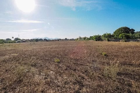 Landejendom i Port De Pollenca, Mallorca, Port De Pollenca - € 1.200.000 | Ref: SCHS1069Q - foto 3