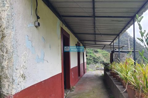 Villa i Ribeira Brava, Madeira, Ribeira Brava - € 130.000 | Ref: 1711 - foto 3