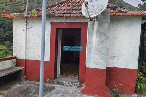 Villa i Ribeira Brava, Madeira, Ribeira Brava - € 130.000 | Ref: 1711 - foto 4