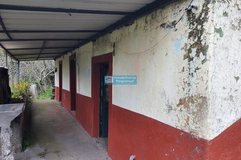 Villa i Ribeira Brava, Madeira, Ribeira Brava - € 130.000 | Ref: 1711 - foto 6