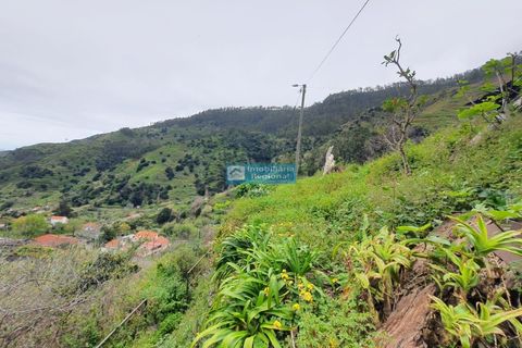 Villa i Ribeira Brava, Madeira, Ribeira Brava - € 130.000 | Ref: 1711 - foto 11