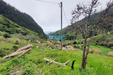 Villa i Ribeira Brava, Madeira, Ribeira Brava - € 130.000 | Ref: 1711 - foto 12