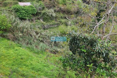 Villa i Ribeira Brava, Madeira, Ribeira Brava - € 130.000 | Ref: 1711 - foto 13