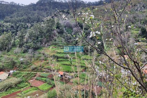 Villa i Ribeira Brava, Madeira, Ribeira Brava - € 130.000 | Ref: 1711 - foto 14