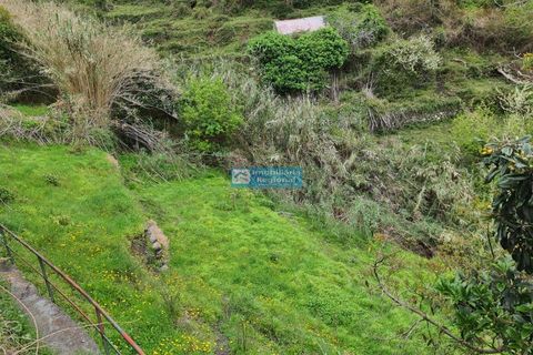 Villa i Ribeira Brava, Madeira, Ribeira Brava - € 130.000 | Ref: 1711 - foto 15