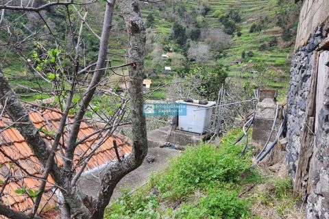 Villa i Ribeira Brava, Madeira, Ribeira Brava - € 130.000 | Ref: 1711 - foto 16