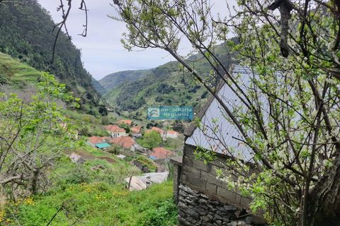 Villa i Ribeira Brava, Madeira, Ribeira Brava - € 130.000 | Ref: 1711 - foto 17