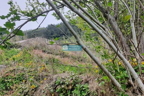 Villa i Ribeira Brava, Madeira, Ribeira Brava - € 130.000 | Ref: 1711 - foto 18